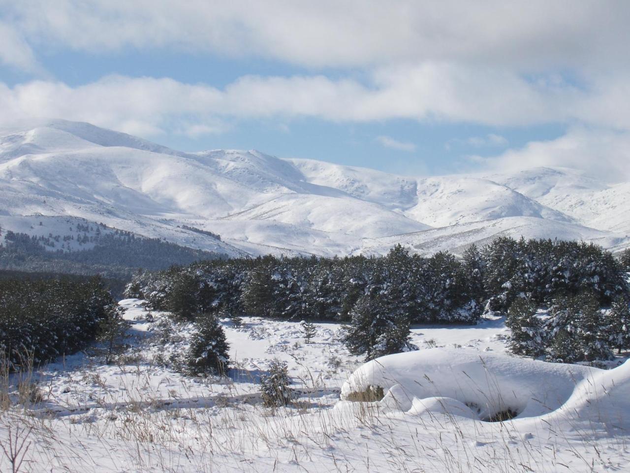 Вілла Tinao De Gredos Barajas de Gredos Екстер'єр фото
