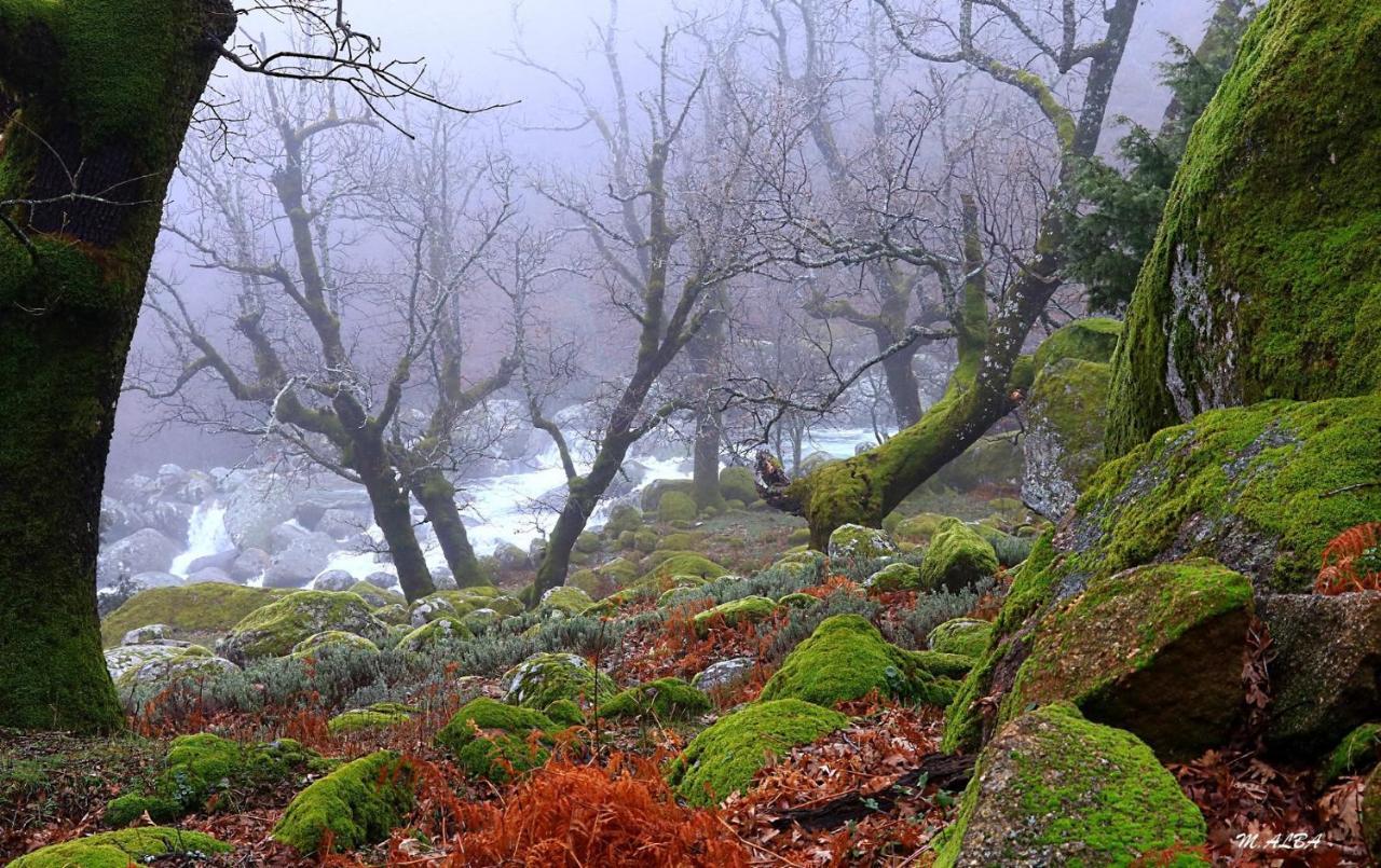 Вілла Tinao De Gredos Barajas de Gredos Екстер'єр фото